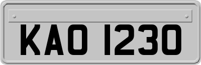KAO1230