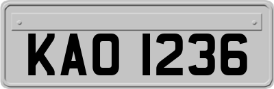 KAO1236