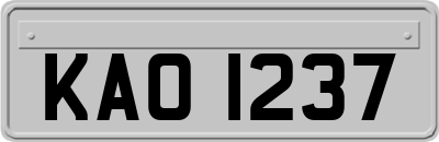 KAO1237