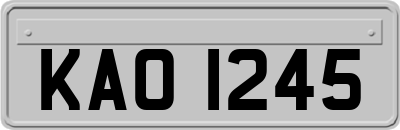 KAO1245