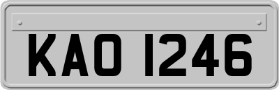 KAO1246