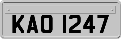 KAO1247