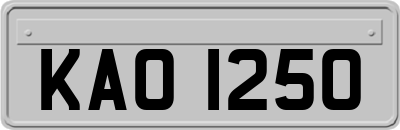 KAO1250