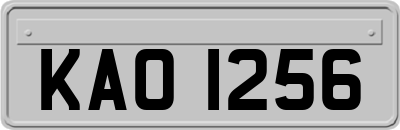 KAO1256