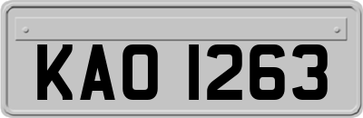 KAO1263