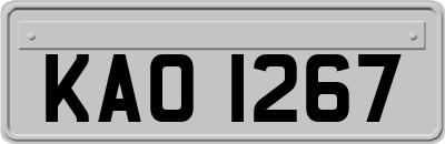 KAO1267