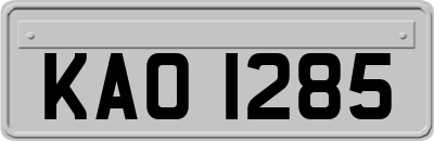 KAO1285