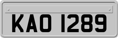 KAO1289