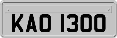 KAO1300