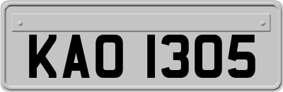 KAO1305