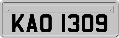 KAO1309