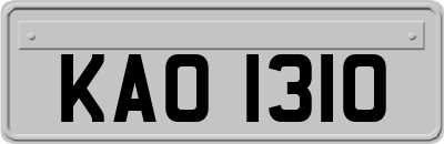 KAO1310