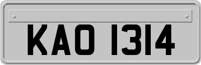 KAO1314