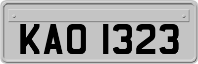 KAO1323