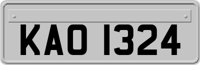 KAO1324