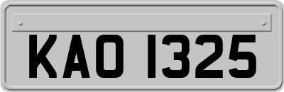 KAO1325