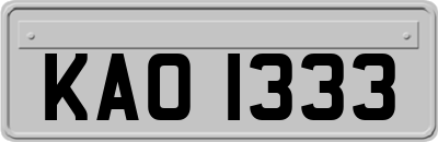 KAO1333
