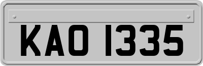 KAO1335