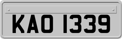 KAO1339