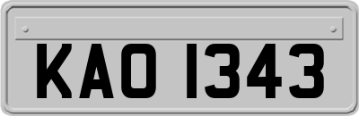 KAO1343