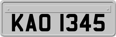 KAO1345