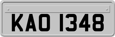 KAO1348