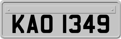 KAO1349