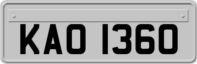 KAO1360