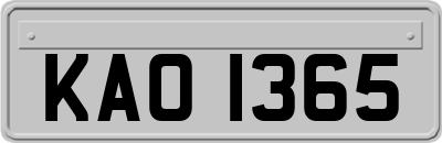 KAO1365
