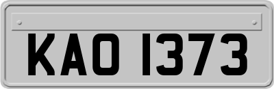 KAO1373