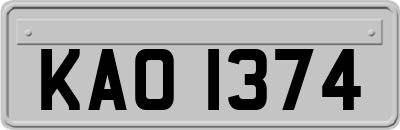 KAO1374