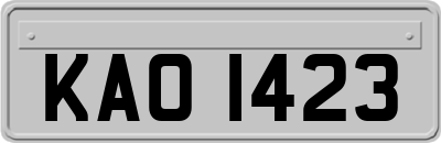 KAO1423