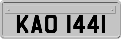 KAO1441