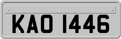 KAO1446