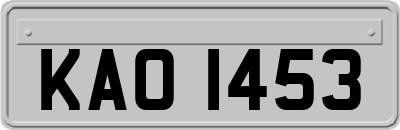 KAO1453