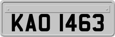 KAO1463