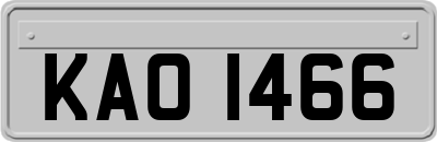 KAO1466