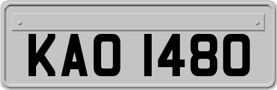 KAO1480