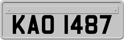 KAO1487