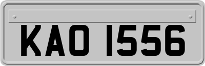 KAO1556