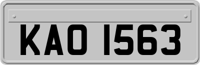 KAO1563