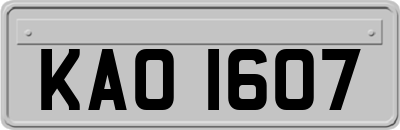 KAO1607