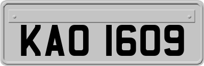 KAO1609