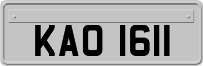 KAO1611