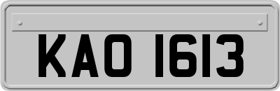 KAO1613