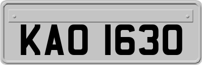 KAO1630
