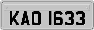 KAO1633