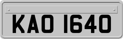 KAO1640