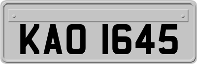KAO1645