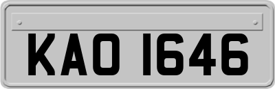 KAO1646
